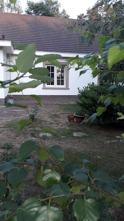 B&B De Tulp Рети Экстерьер фото